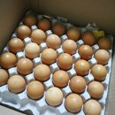 농업회사법인 영일(주)