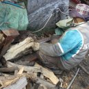 바윗골농장 이미지