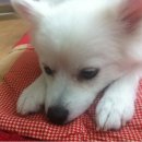 덩어리 이미지