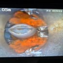 아미움세탁 이미지