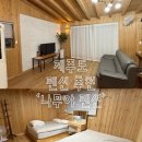 나무야펜션 | 제주도 가성비 펜션 추천 내돈내산 후기 ‘나무야펜션’
