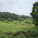 부윤보건진료소 이미지