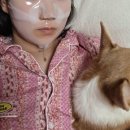 사평대로20길 3 | 11월 시작