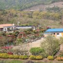 이시돌쉼터 이미지