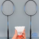 배드민턴 이미지