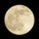 풍년잔치마당 이미지