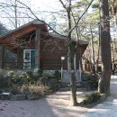 중앙2사슴 이미지