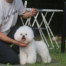 레이지 포 이미지