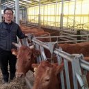 강진1호 이미지