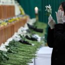 창원광장 앞 중앙대로 이미지