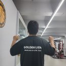 골든라이언 이미지