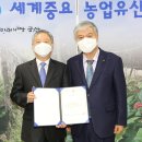 금산약초 이미지