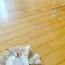 슬기롭게 건강하게 이미지