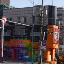 펫클럽샵 이미지