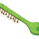 개미군단