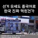 짱께신 네이버블로그