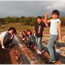 꿈과씨앗지역아동센터 이미지