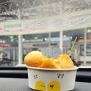지리산 오도재 힐링캠핑장 | [25.05.03] 즉흥으로떠난지리산오도재힐링캠핑장 who~기🏕️