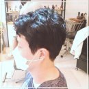 온새미로 미용실, 머리손질의 새로운 데일리 친구가 생겼어요!