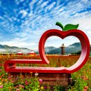 산소카페 청송군민음악회 이미지