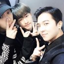 미노