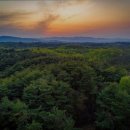 신세대빌리지