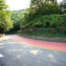 옥정 왕벚나무길 이미지