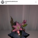 나인젠트케이크하우스
