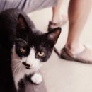 화정한옥민박 이미지