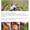 얼음동동~ 맛있는 국산 미숫가루 판매합니다. 이미지