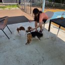 그라운독 이미지