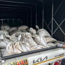 영천별빛굼벵이농장 | 경북 영천에 위치한 굼벵이농장으로 발효톱밥, 종자용굼벵이 납품