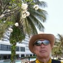 방화공인중개사사무소 이미지