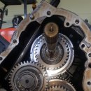 제일밋숀 이미지