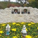 돌배나무 세그루 이미지