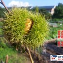 삼풍동공인중개사사무소 이미지