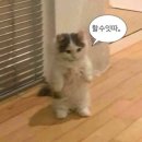 리치짐 이미지