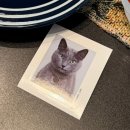 로울 | 부산 전포 한우 오마카세 로울 내돈내산 후기 (+산애카페)