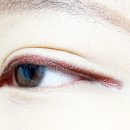 래쉬라인