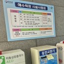 영덕 가족여행 추천! 대진해수욕장 후기｜조개잡기 &amp; 갯바위 해루질 체험