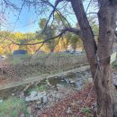 양주산막골캠핑장 이미지