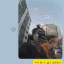 삼성대학약국 이미지