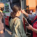 홍천시티투어 이미지