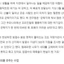 식물분류학자가 팽나무에 보낸 연애편지 이미지