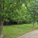 대구포산초등학교 이미지