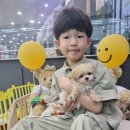 야옹아 멍멍해봐 계림점 이미지