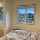 월령솔가 이미지