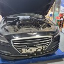 합성견인 이미지