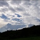 종주농장 이미지