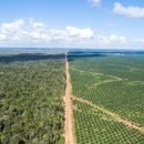 마이티농장 이미지